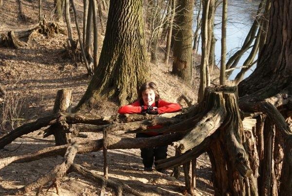 przytulam się do sosny na szczudłach, nad Pilicą