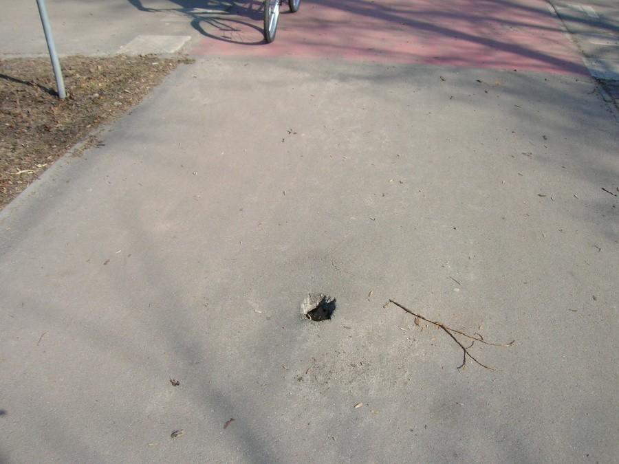 Inspekcja drogi rowerowej