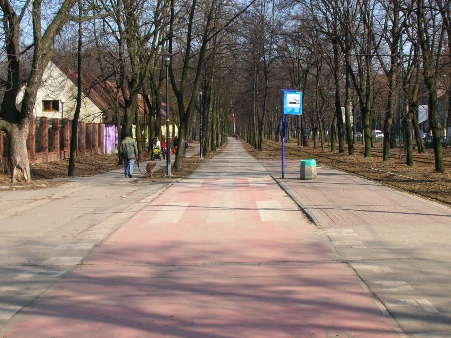 Inspekcja drogi rowerowej