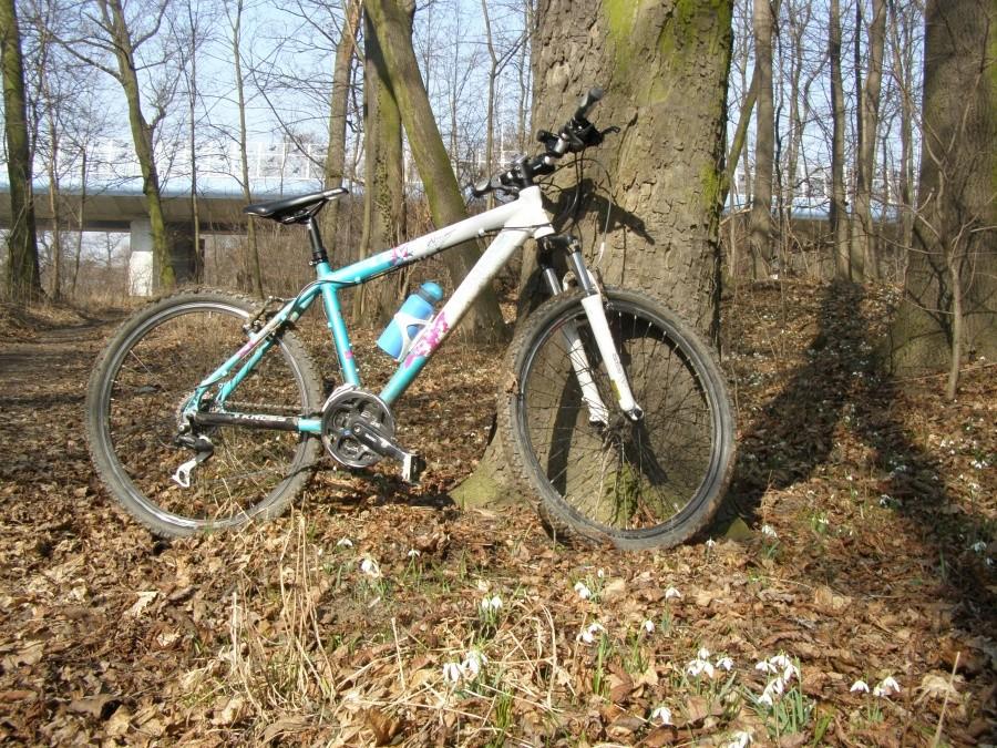 Kross w przebiśniegach