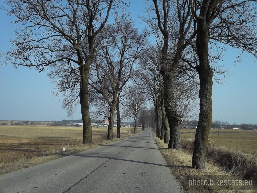 W stronę Morzeszczyna