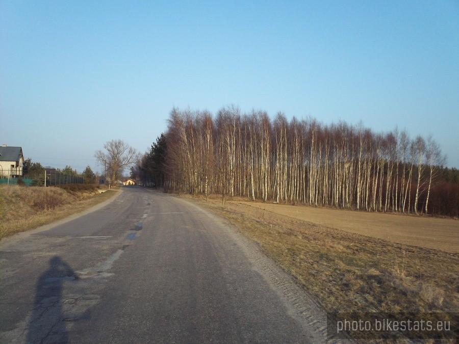Brzeźno Wielkie wita wierzbami
