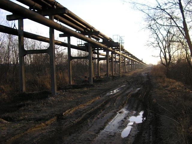 Czarnobyl jakiś czy co u licha?