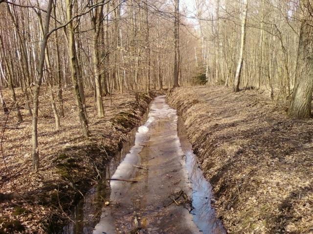 Łagiewniczanka