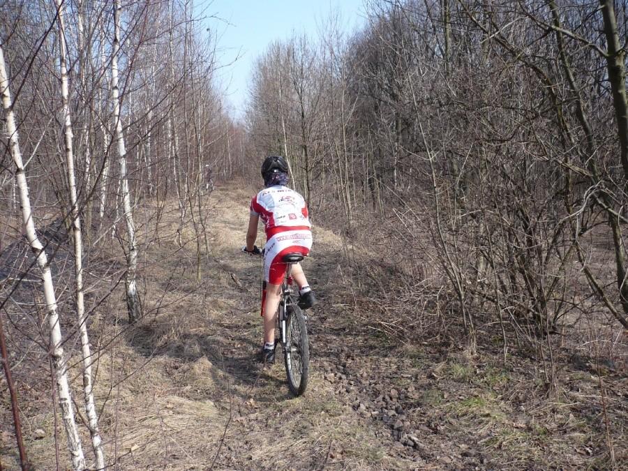 A mogłaby tu być ścieżka...