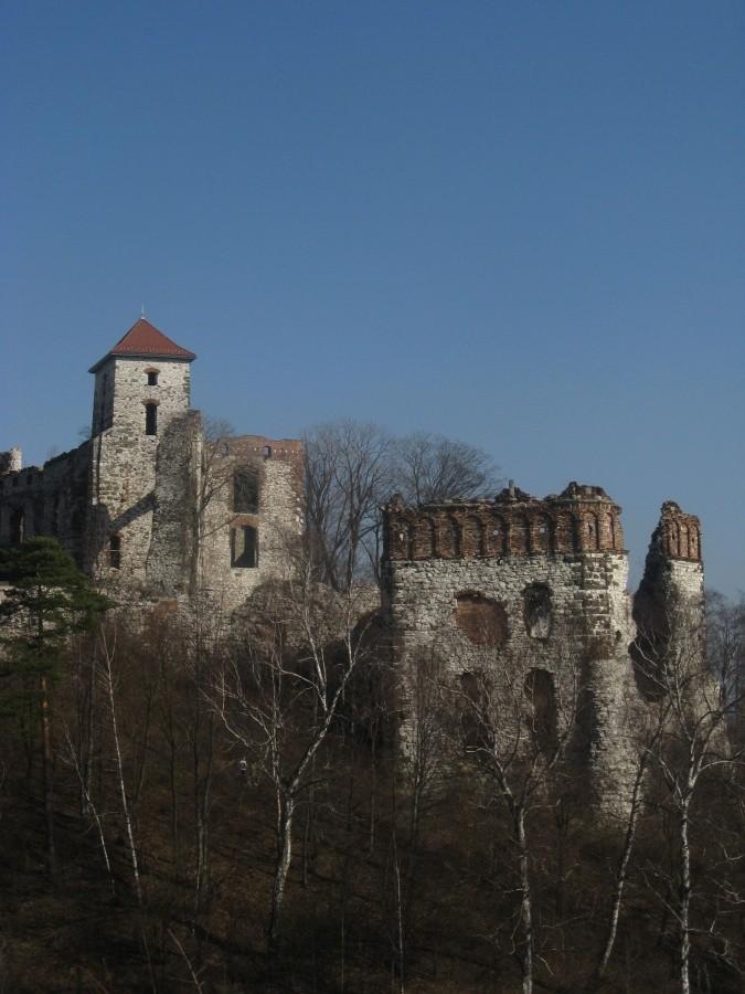 Zamek Teczyn