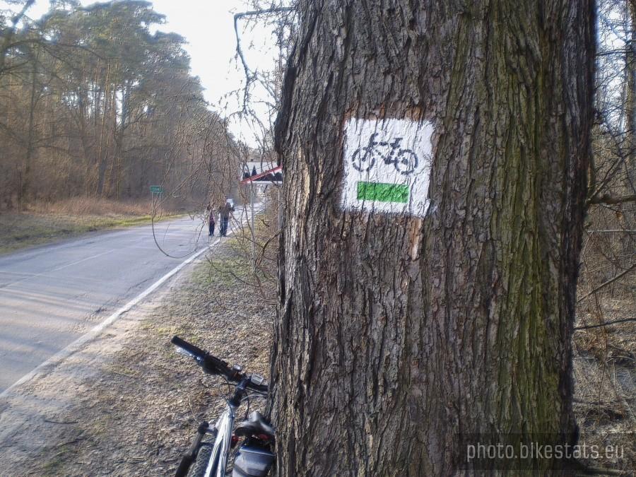 Zielonym szlakiem
