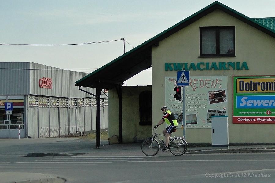 no i jest wreszcie Kajman