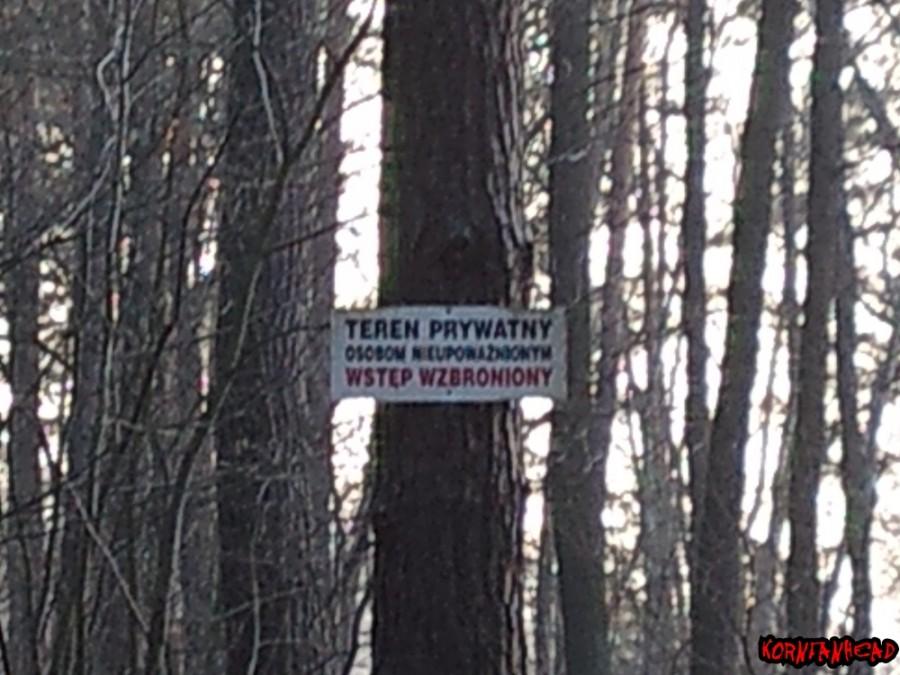NIENAWIDZĘ!!!!! Kiedy człowiek przywłaszcza sobie las. Natura nie może być czująś własnością!