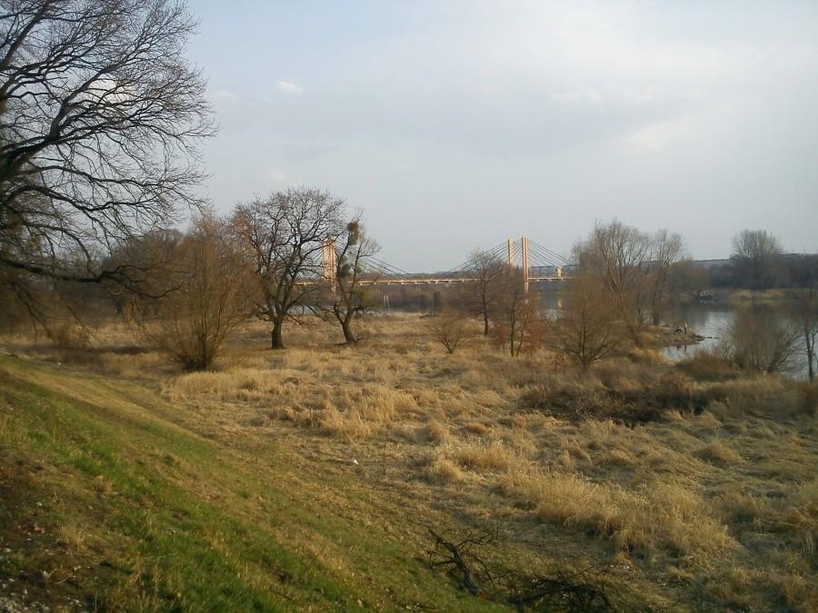 Most Milenijny