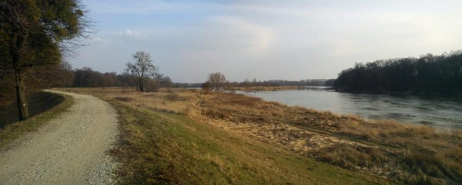 Odra koło Osobowic