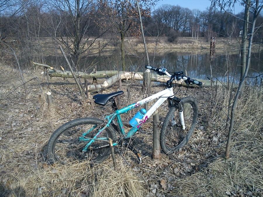 kross przy stojaku rowerowym
