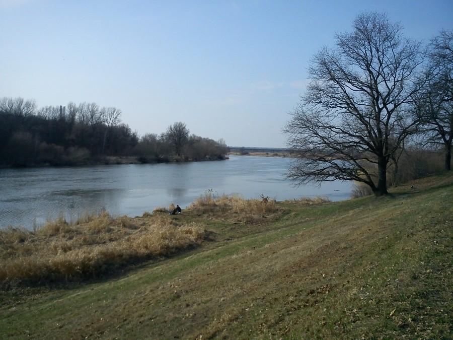 Odra zakręca