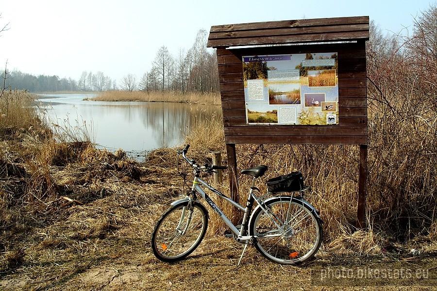 Jezioro Mikoszewskie