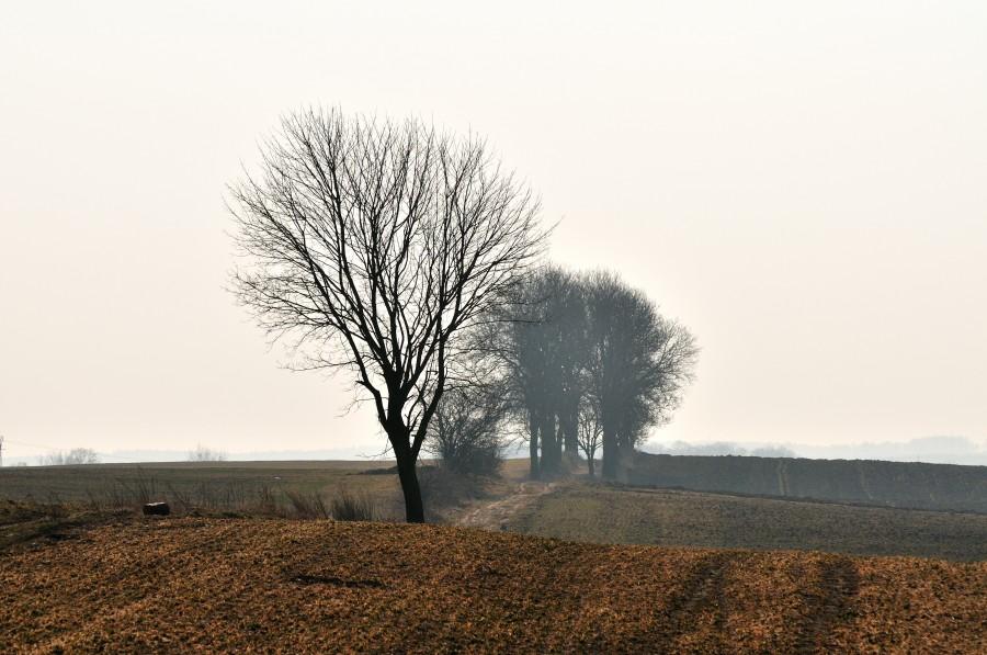 Krajobraz koło Kobierzyna