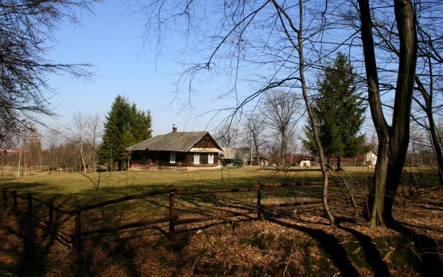Koło lasu w Słocinie
