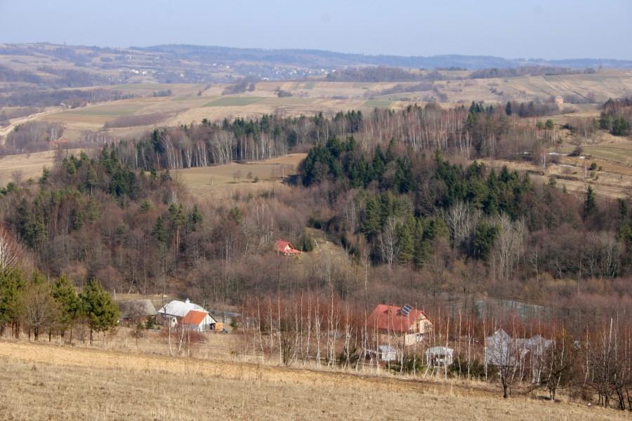 Widok podczas przerwy na jedzenie
