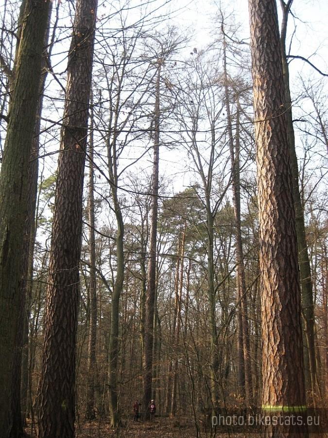 tam na dole są ojciec mój i brachol