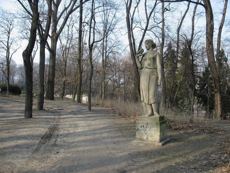Kobieta z gołębiem