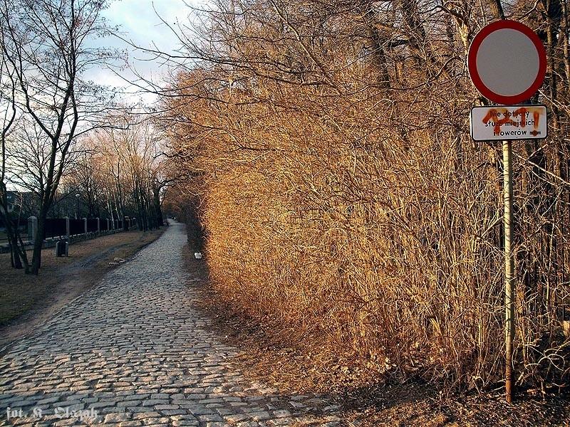 Nowoursynowska (1)