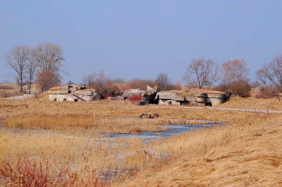 Osowiec bunkry