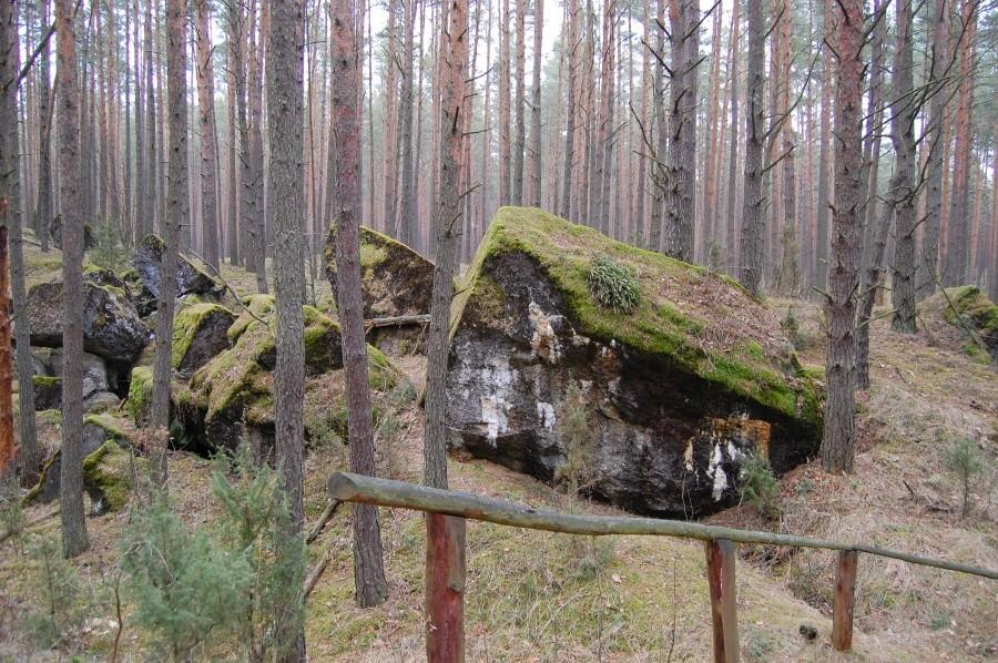 Ruiny Fortu IV koło Osowca