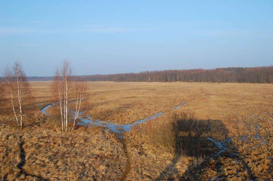 Bagno Podlaskie