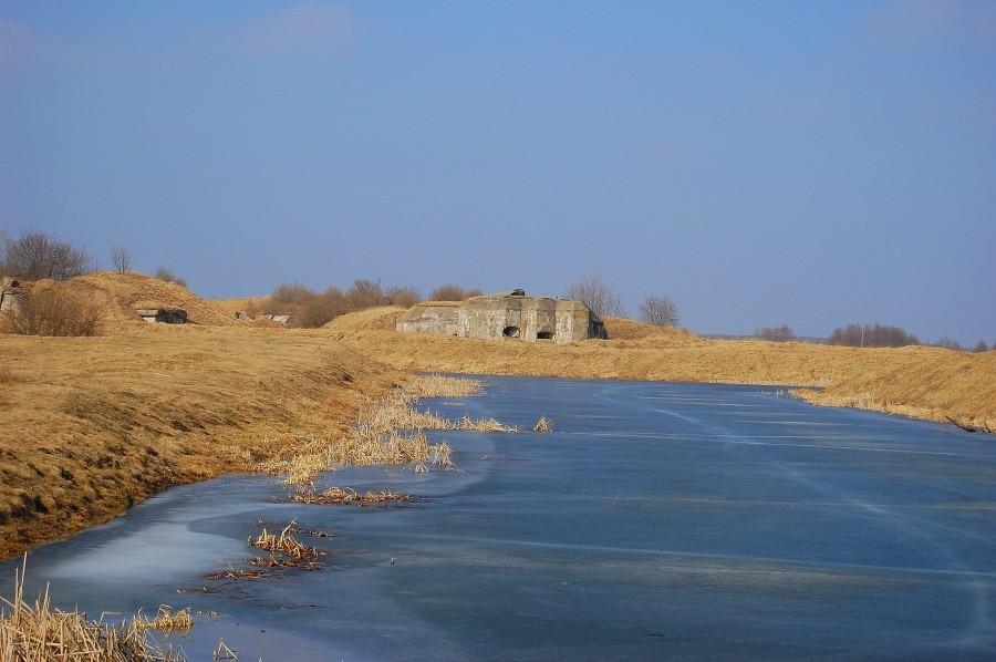 Widoczek