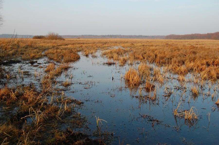Bagno Ławki