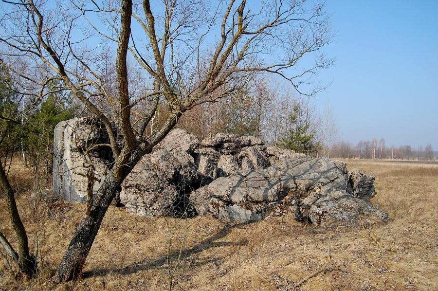 Ruiny bunkra koło Giełczyna
