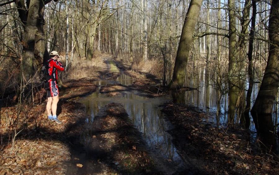 Penetracja efektu działalności bobrów