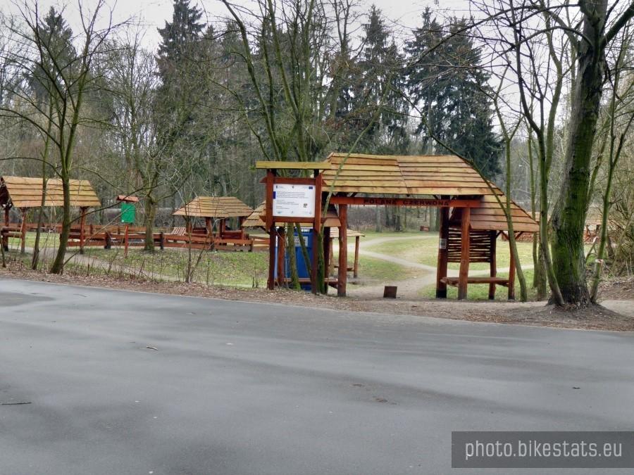 Las Arkoński i Polana czerwona.