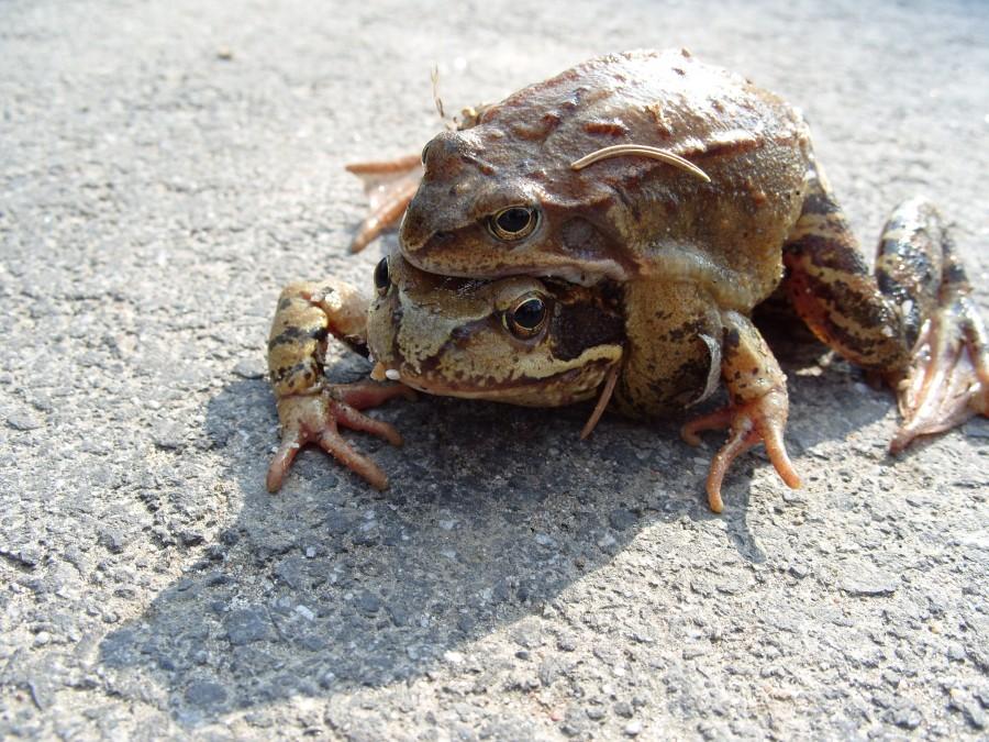 A na trasie wszędzie sex, sex i tylko sex;).