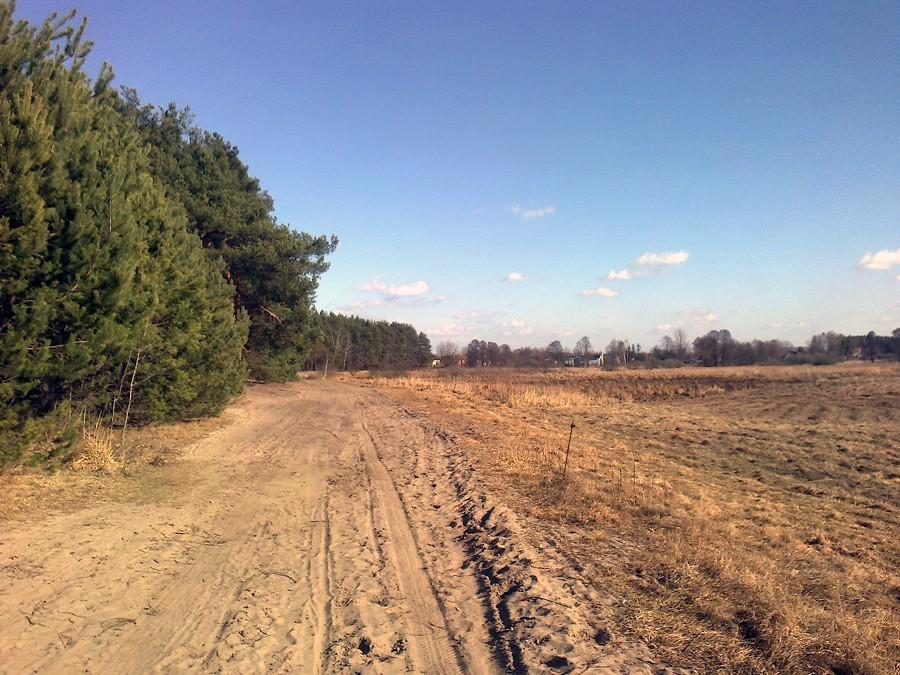Piaskowy odcinek na niebieskim szlaku z Zalesia do Konstancina