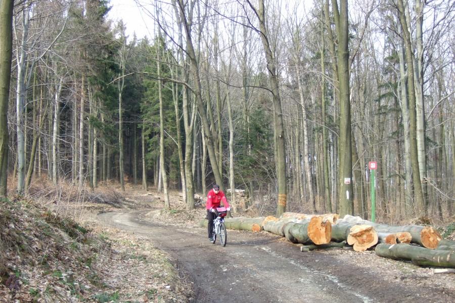 A wracam do domu bo w tych lasach jeszcze zimno.