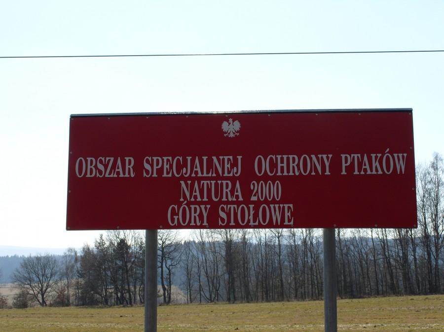 Powoli pnę się ku zamierzonemu celowi.