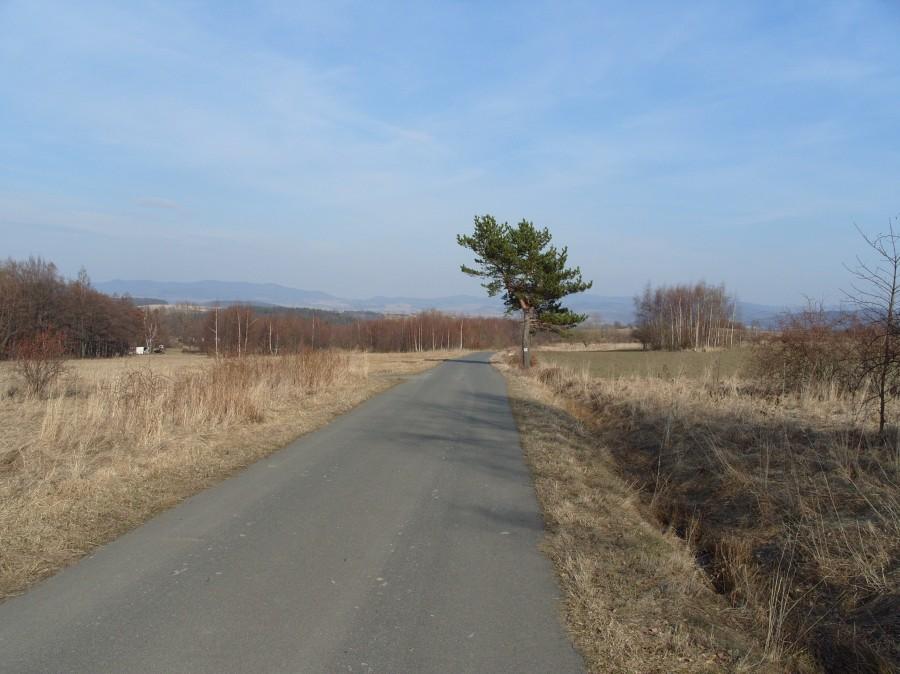 Co sezon sprawdzam znajome drzewo.