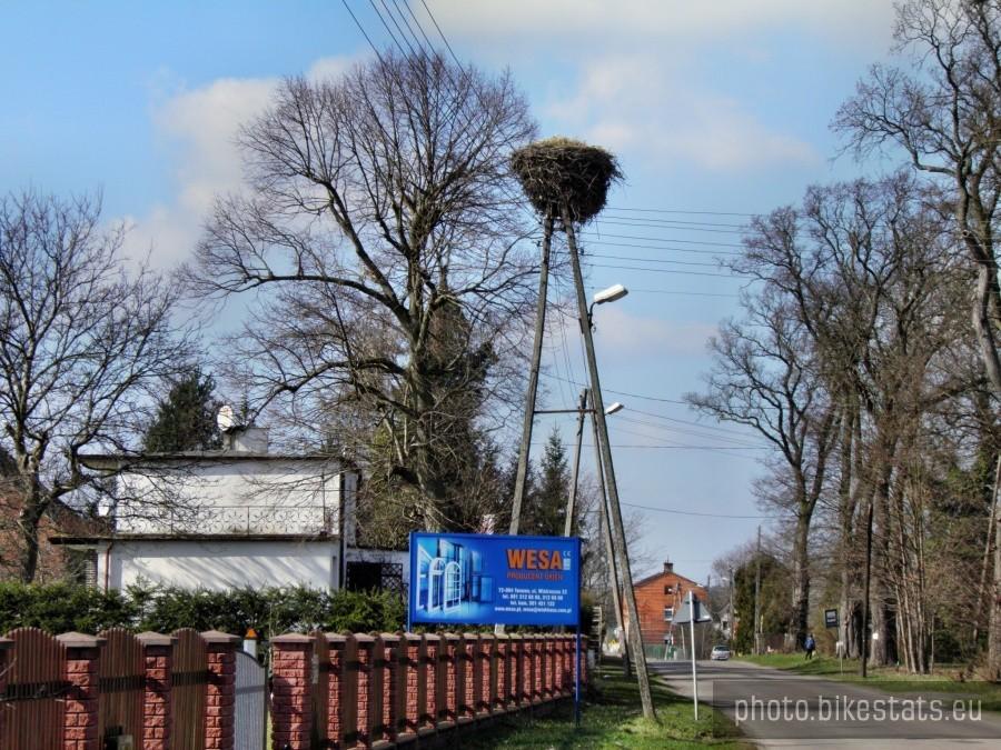 Tanowo i bocianie gniazdo ciągle bez lokatorów.