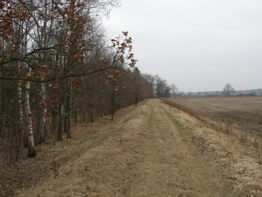 Wał wzdłuż Bystrzycy