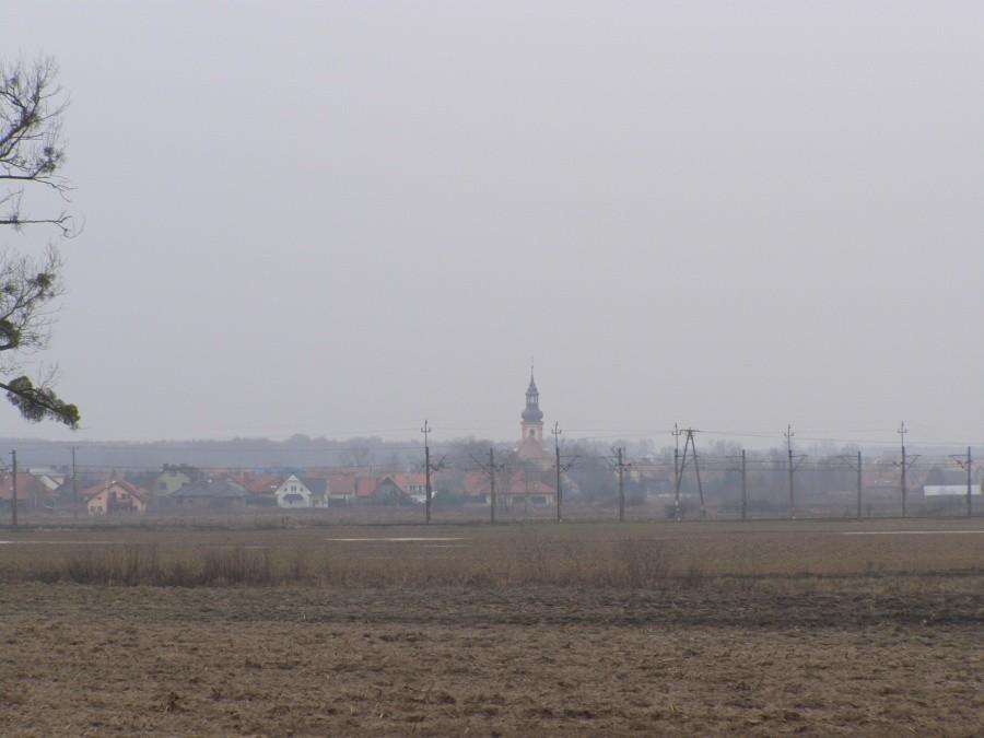 Wilkszyn widziany z wału nad Bystrzycą
