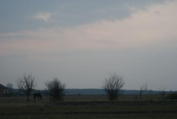 konik się pasie ;)