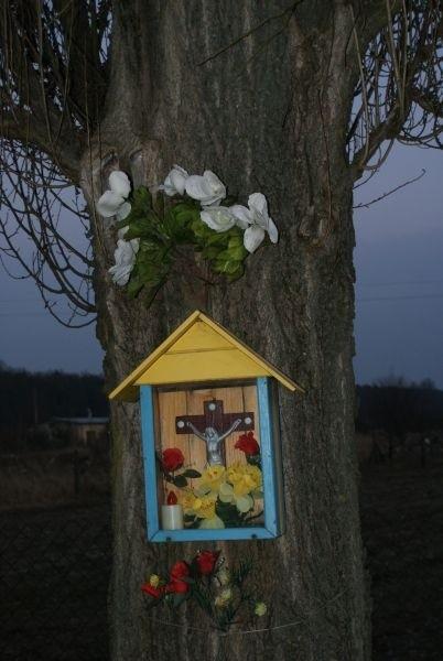 kapliczka na drzewie, ul. Dąbrowska