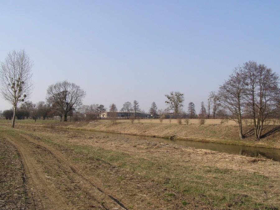 Widawa pod Krzyżanowicami