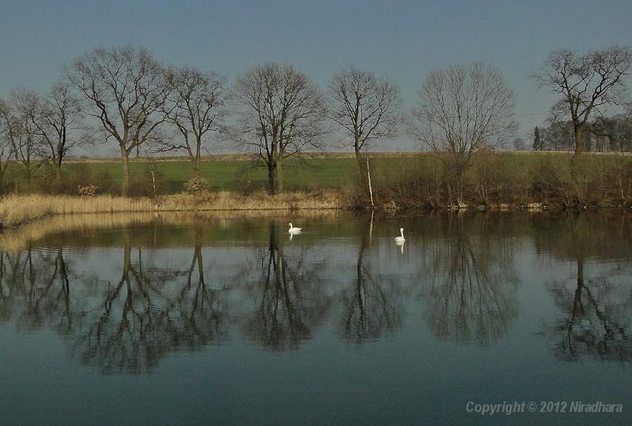 taki tam banał