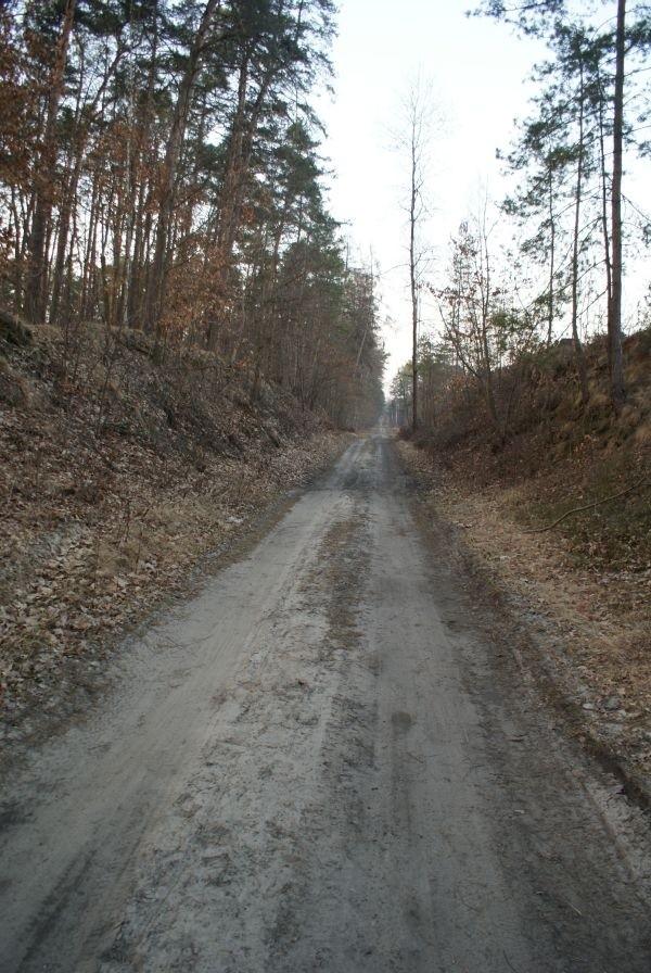 jadę prawie wąwozem