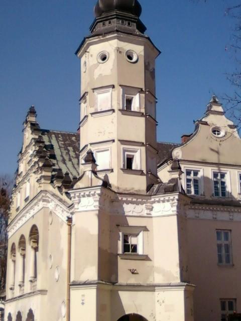 Pałac w Poddębicach