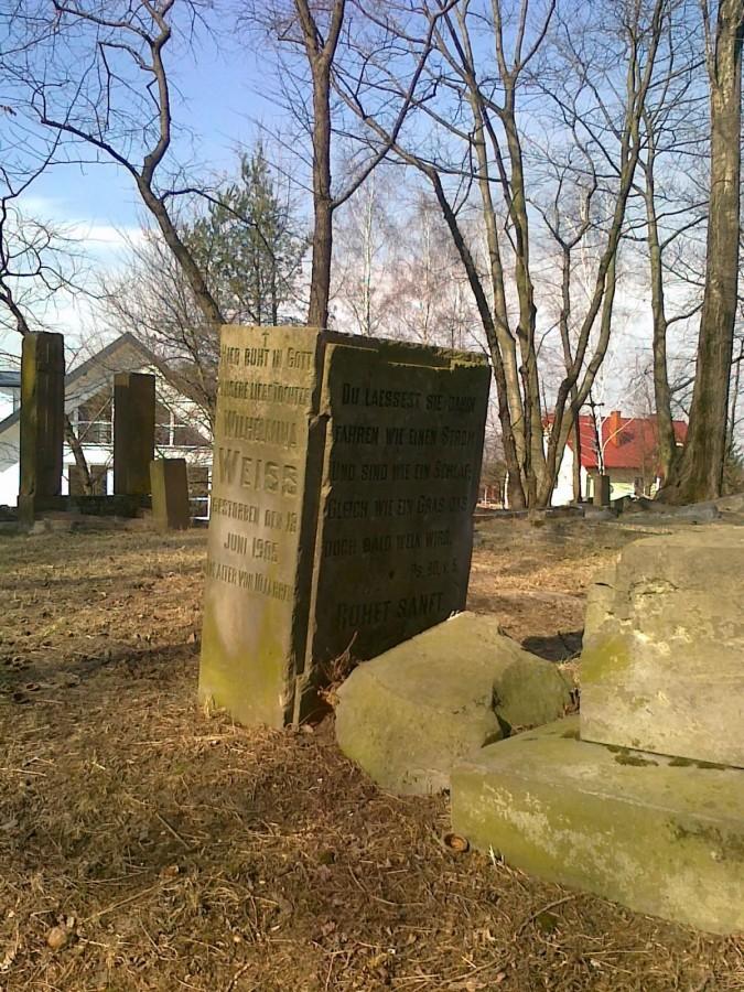 Waypoint #2288 Kępa Zawadowska - cmentarz mennonicki