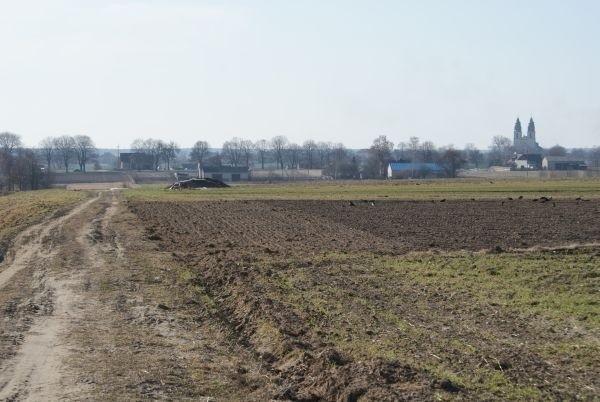 polną ścieżką