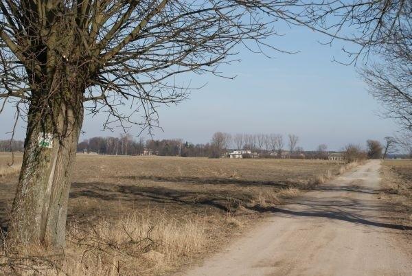 zielonym szlakiem prosto do Wielkiej Woli