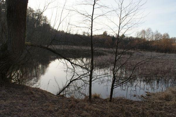 staw Szczurek nad Gacią